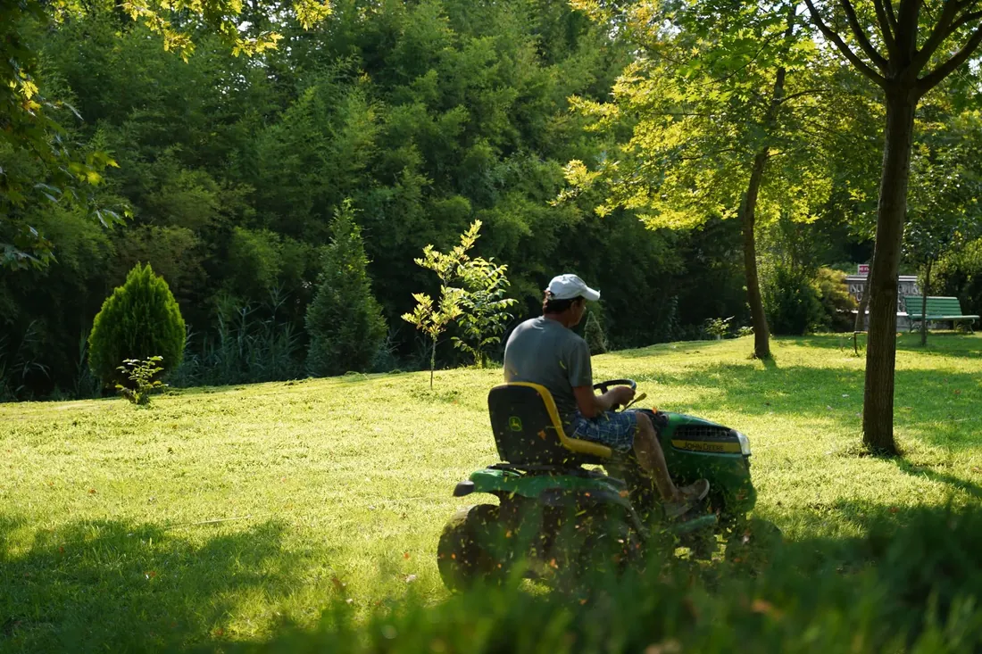A lawn being mown on a sunny day in a green, leafy garden
